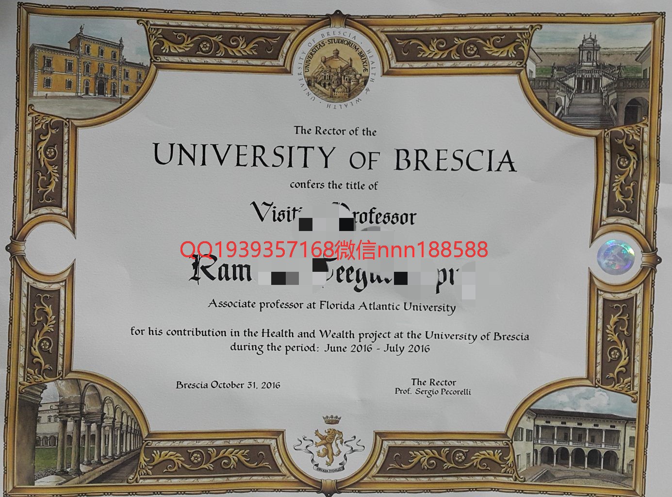 意大利布雷西亚大学 University of brescia